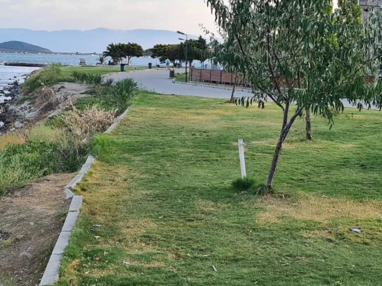 Ayvalık,353 Atatürk Bulvarı - 1