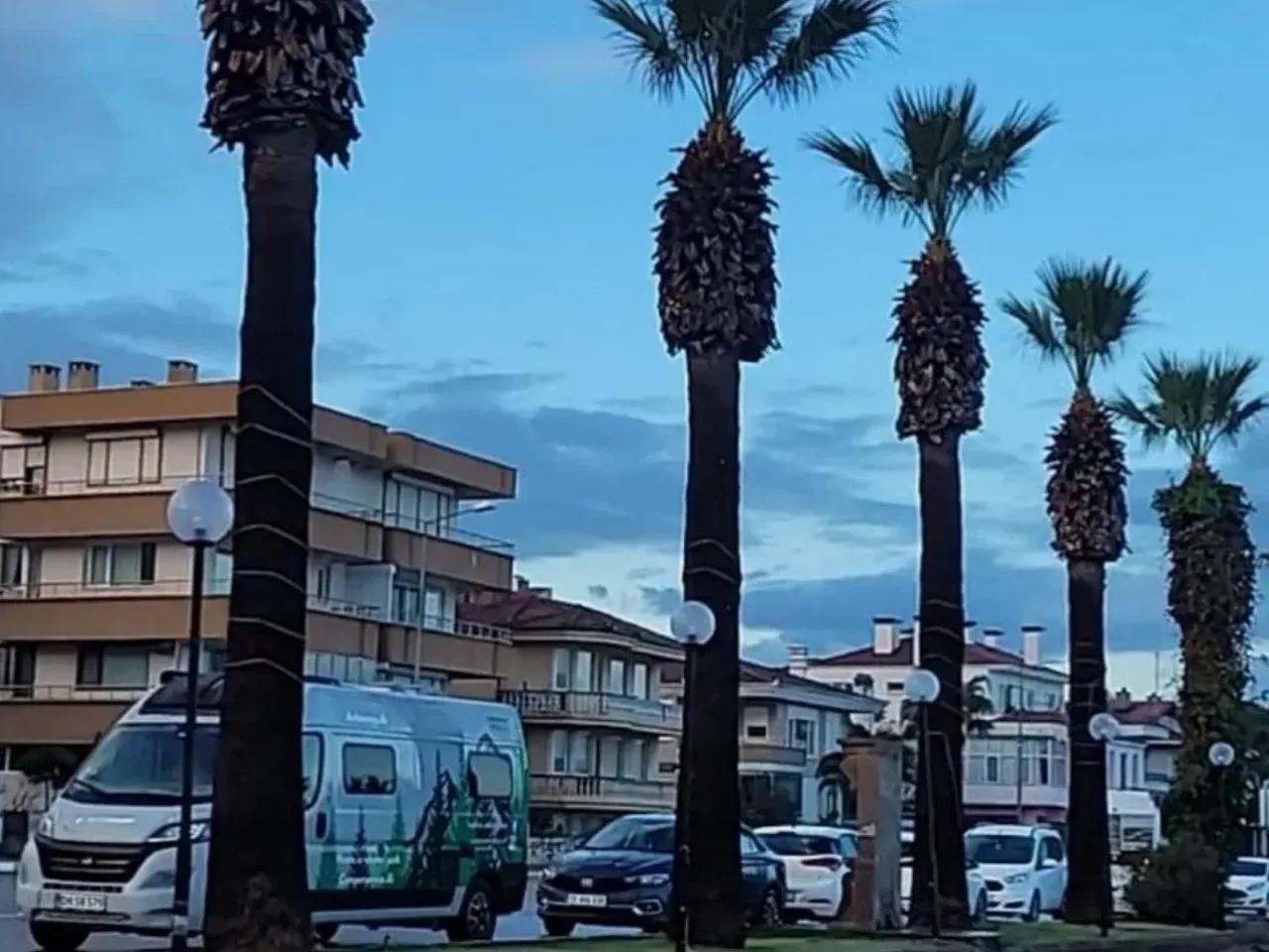 Ayvalık,43 İnönü Caddesi - 1