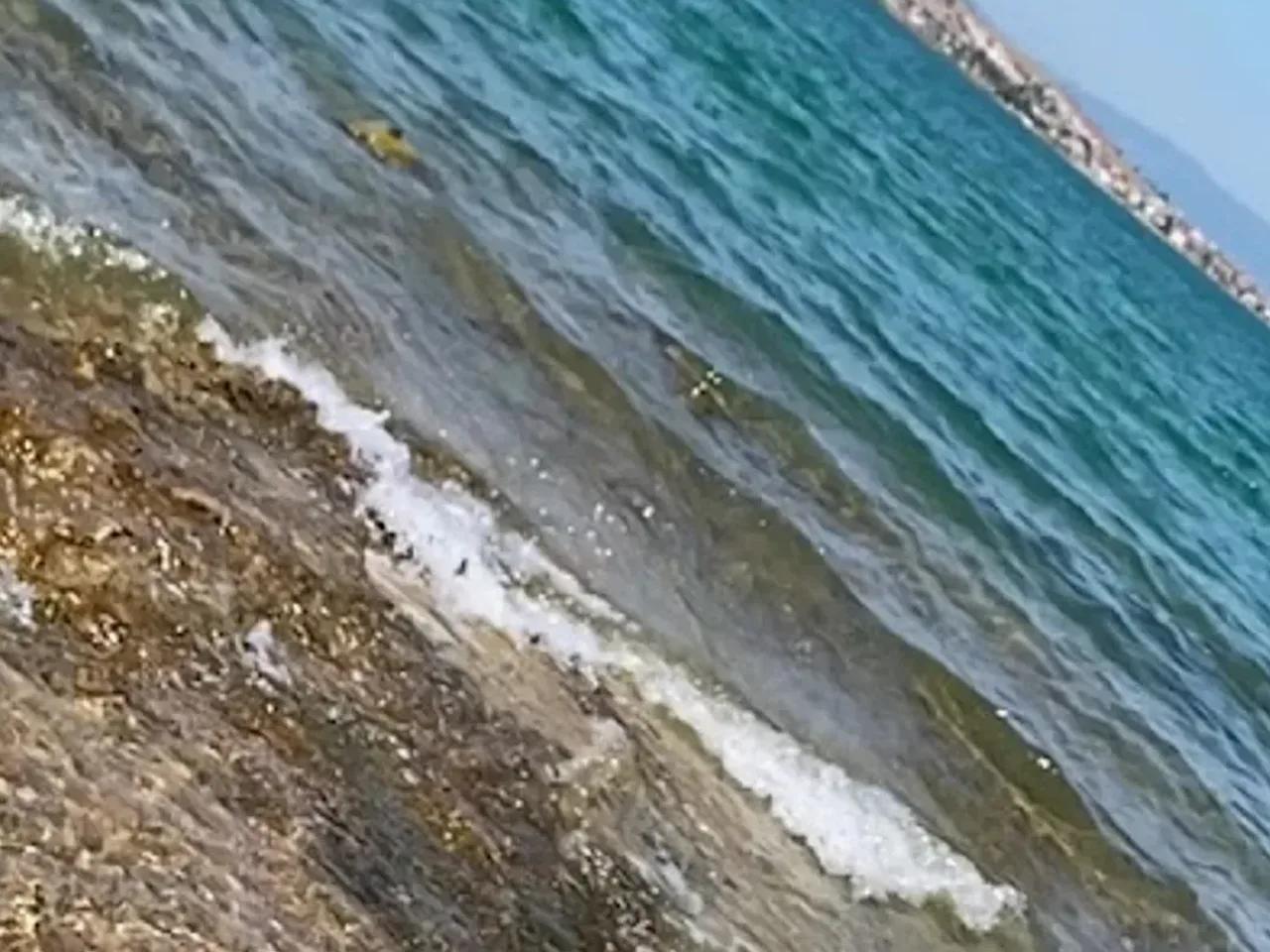Kapri Plajı - 4