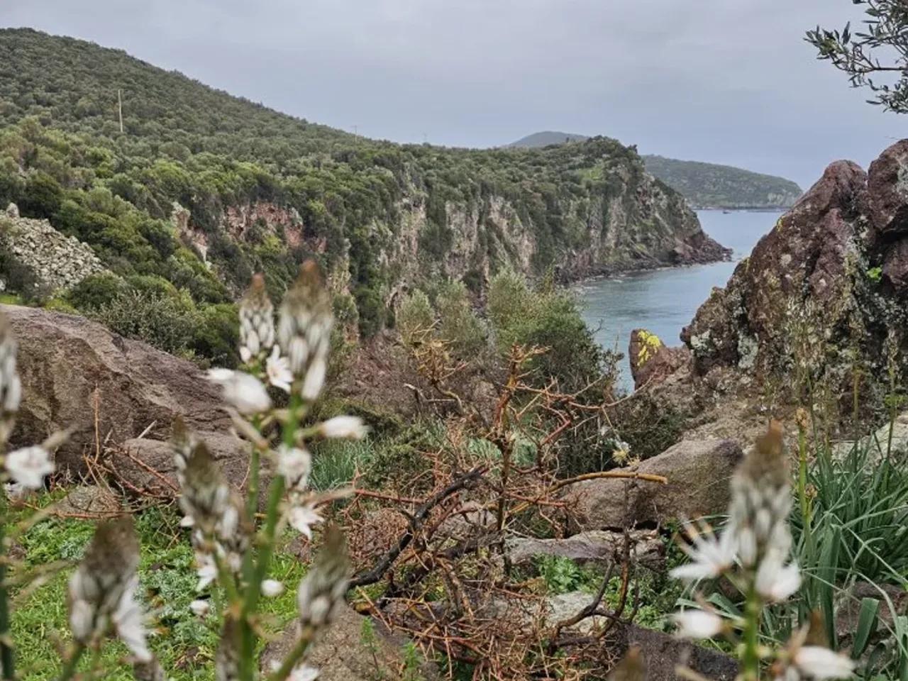 Bademli, - 2