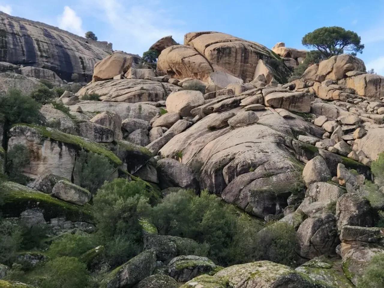 Bağarcık, - 1