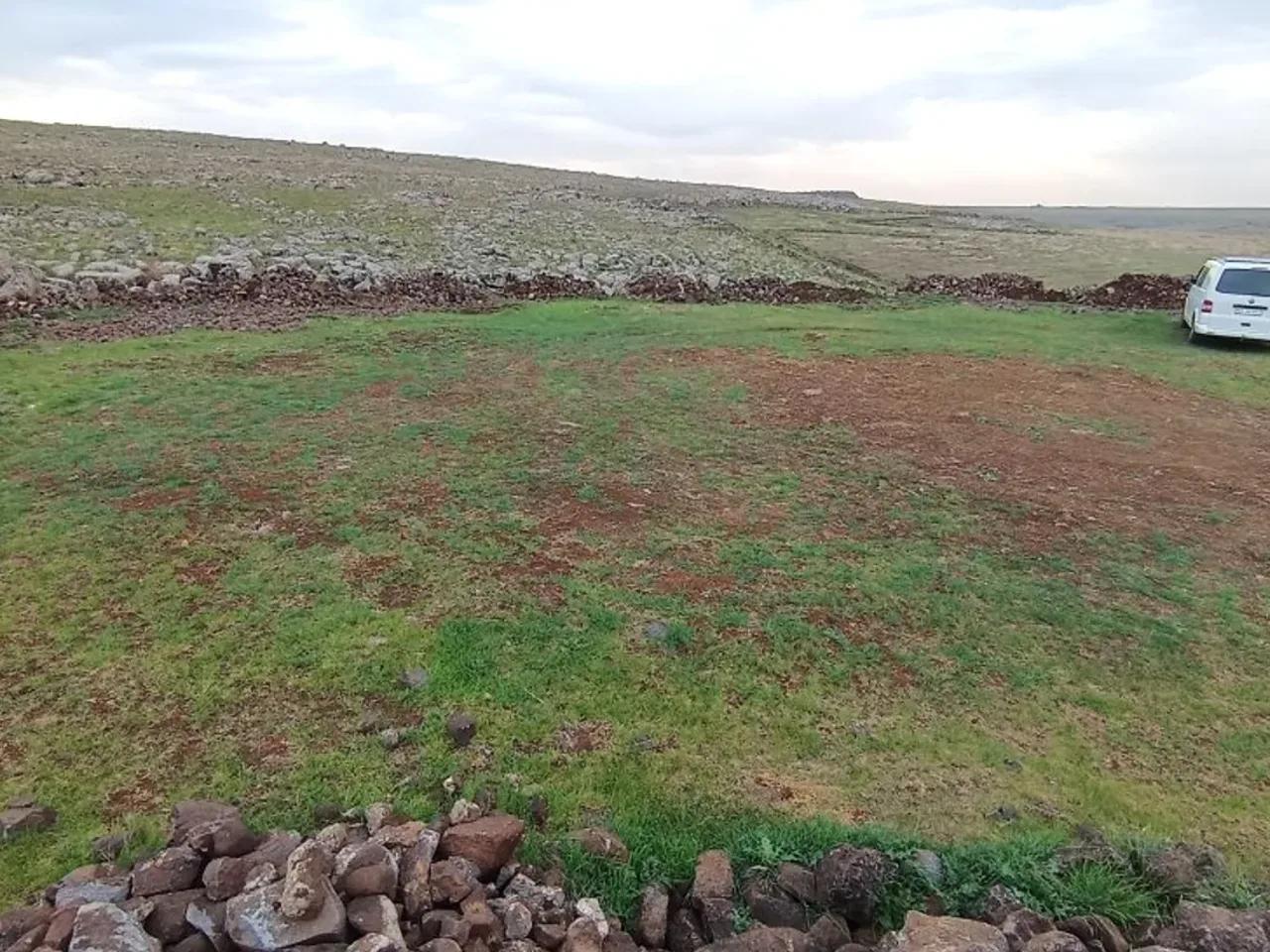 Bakımlı, - 2