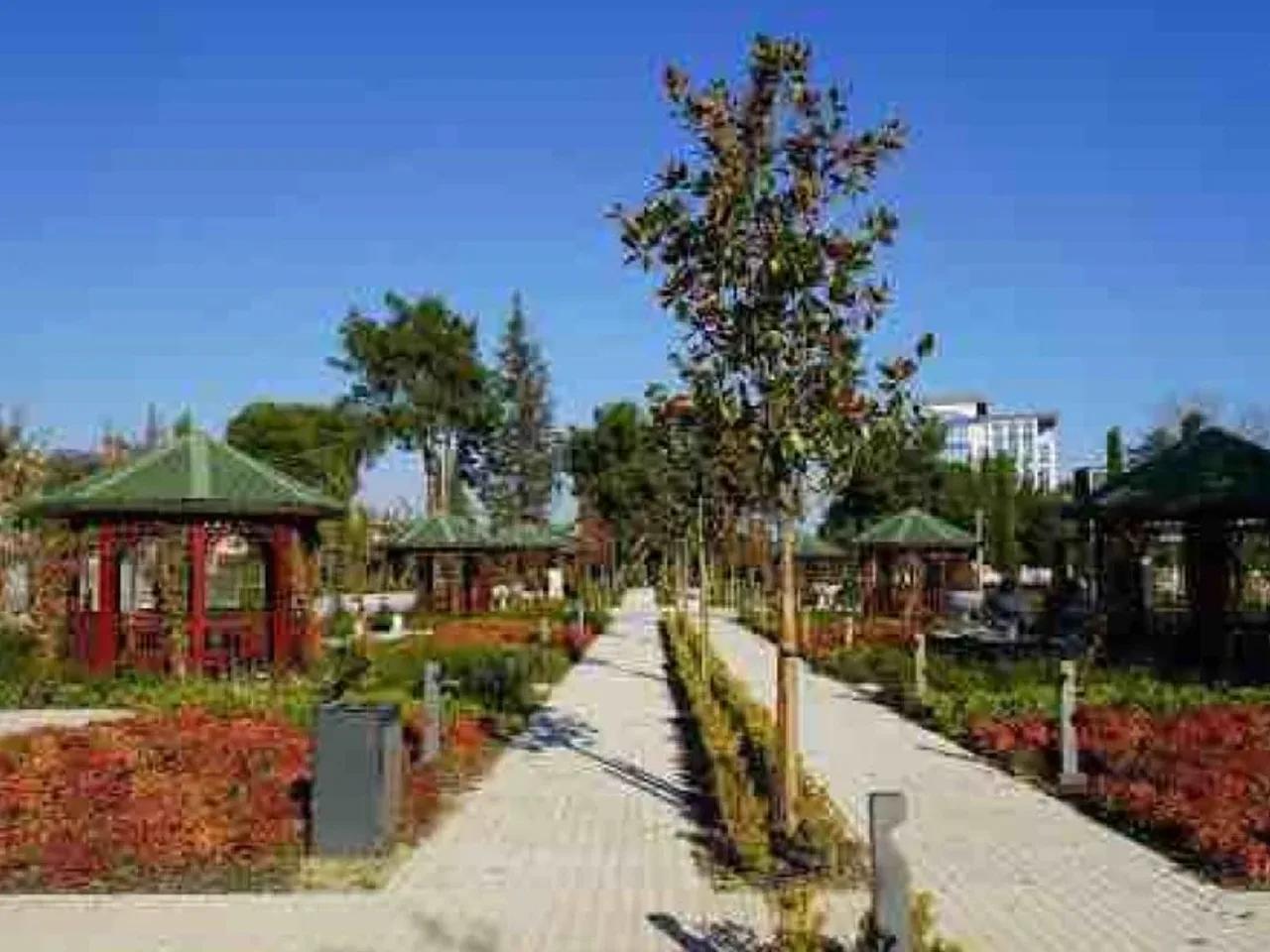 Bakırköy,1 109/1. Sokak - 3
