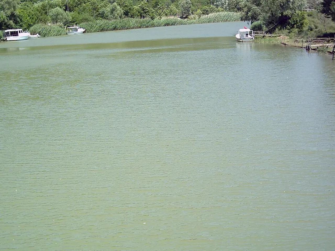 Balamba Tabiat Parkı