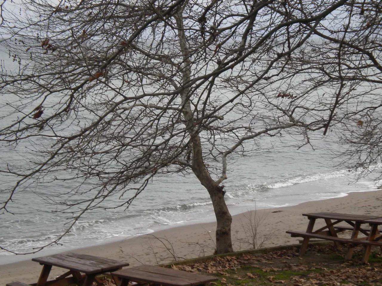 Barbaros Topağaç Halk Plajı - 5
