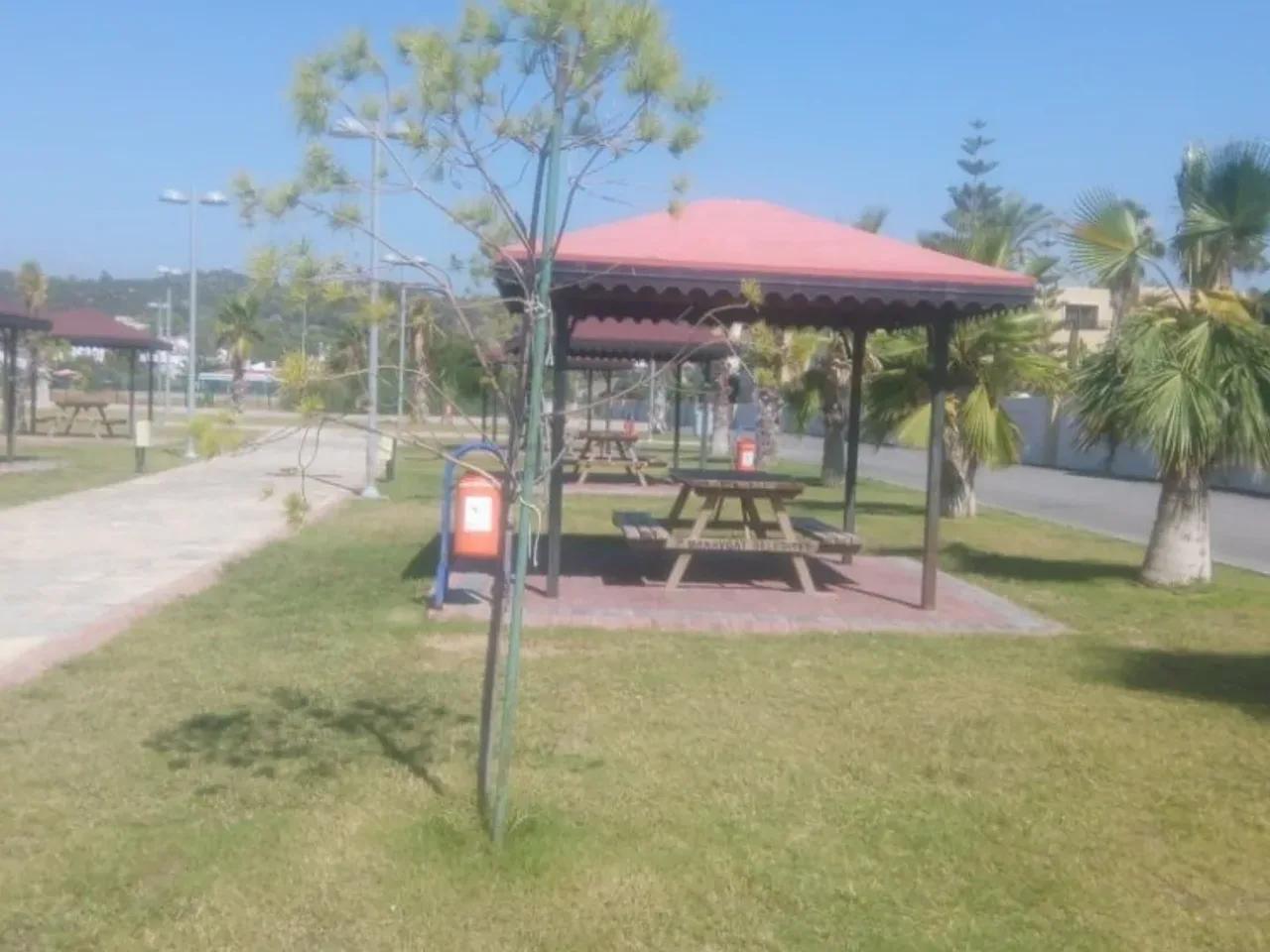 Barbaross Pasha Beach Otel - 2