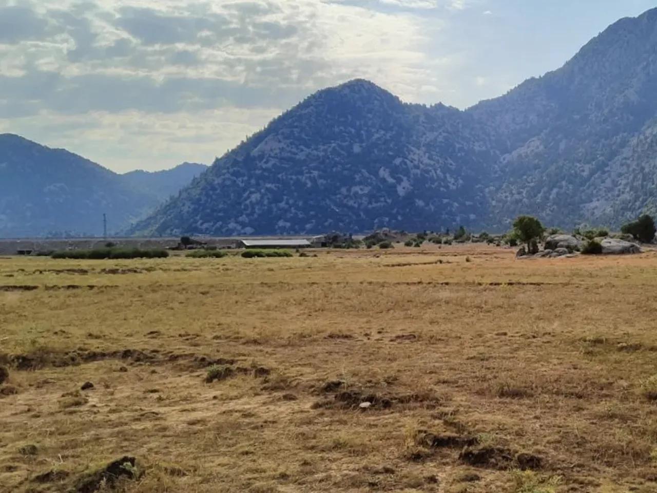 Başlar, - 2
