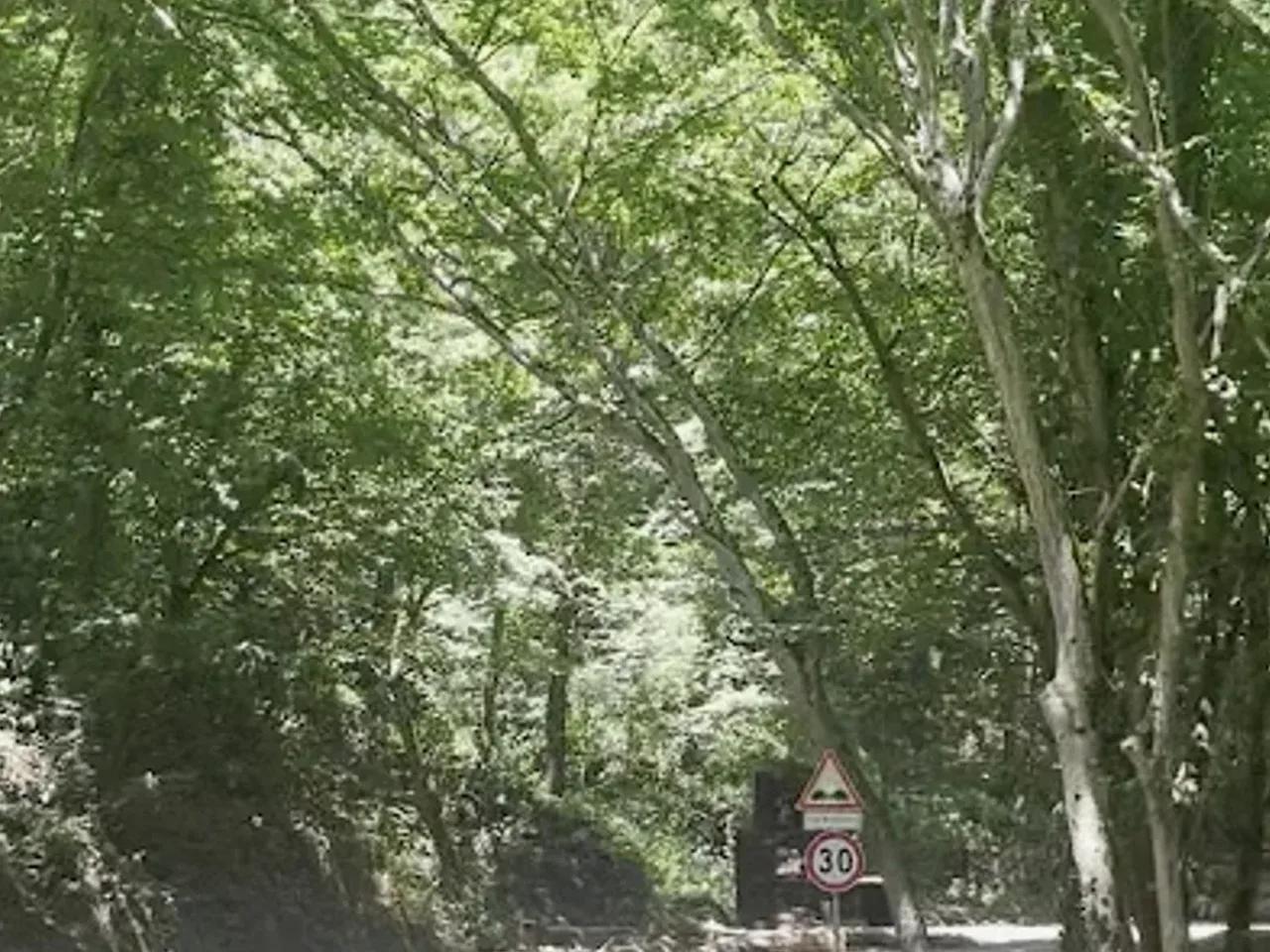 Bentler Tabiat Parkı - 2