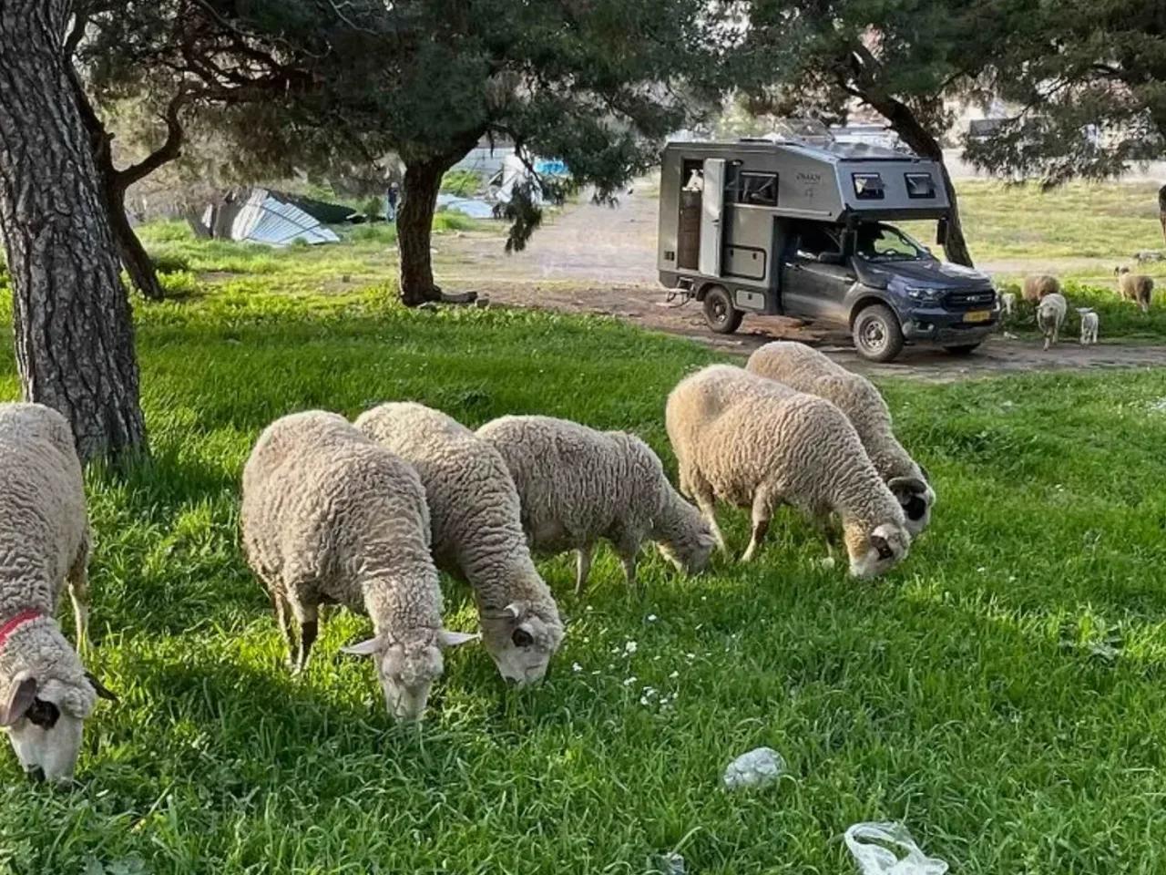 Bergama,5 Üçkemer Caddesi - 1