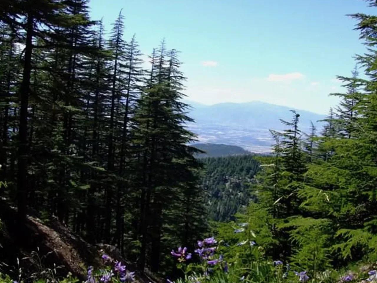 Bey Dağları Kamp Alanı