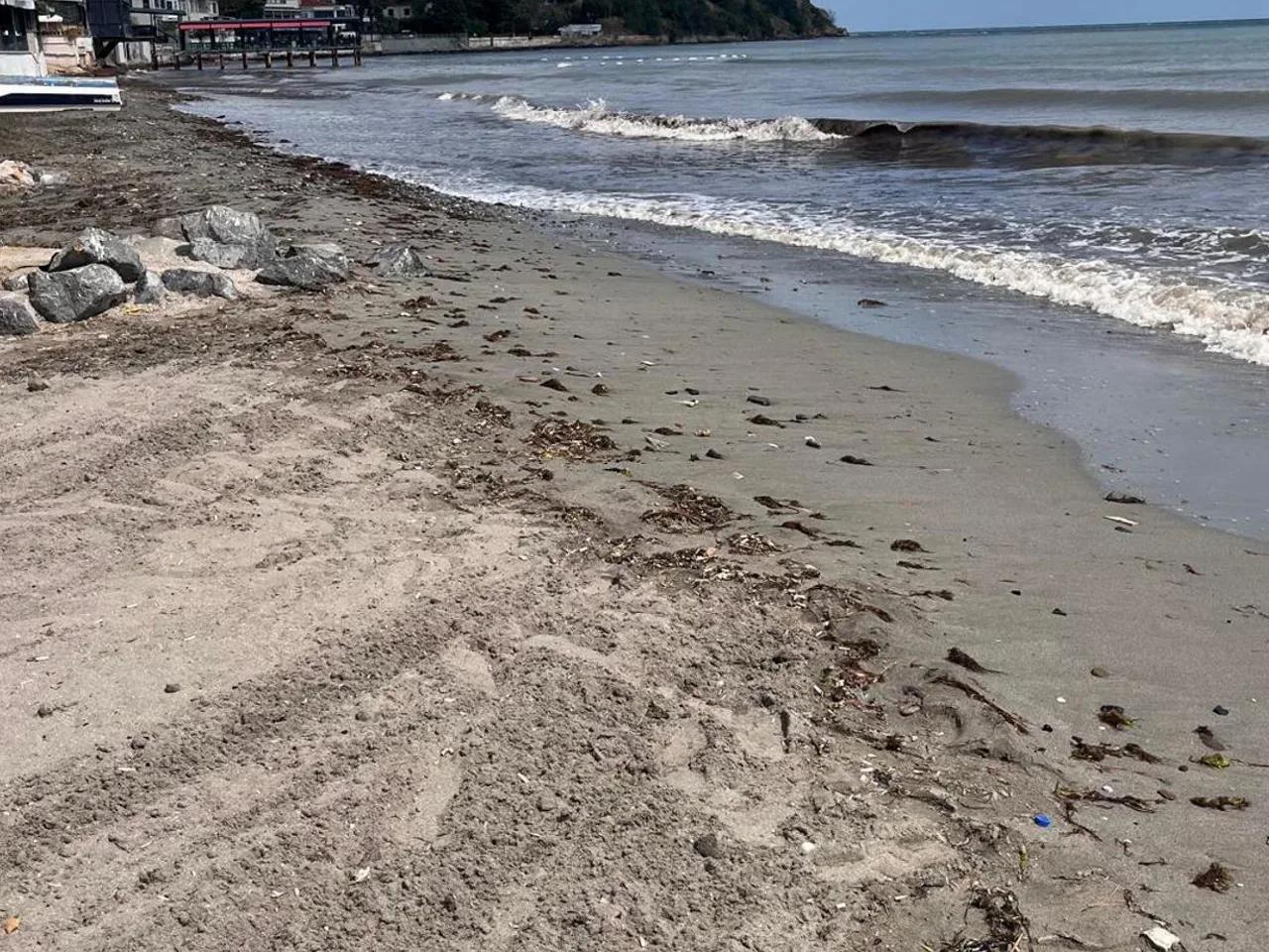 Beyazköy Şekerkamp Halk Plajı - 3