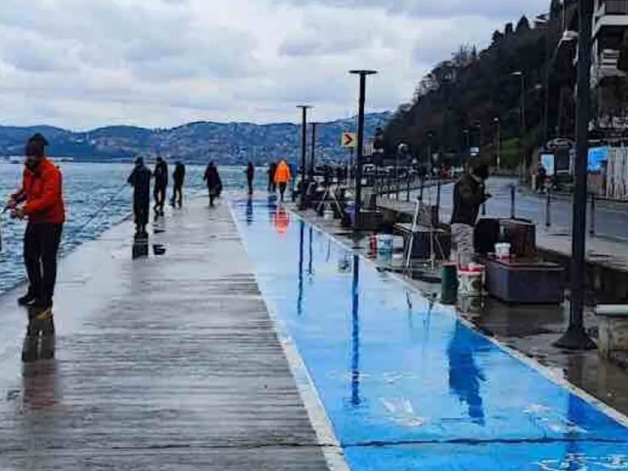 Beykoz,2 Piri Reis Caddesi - 1
