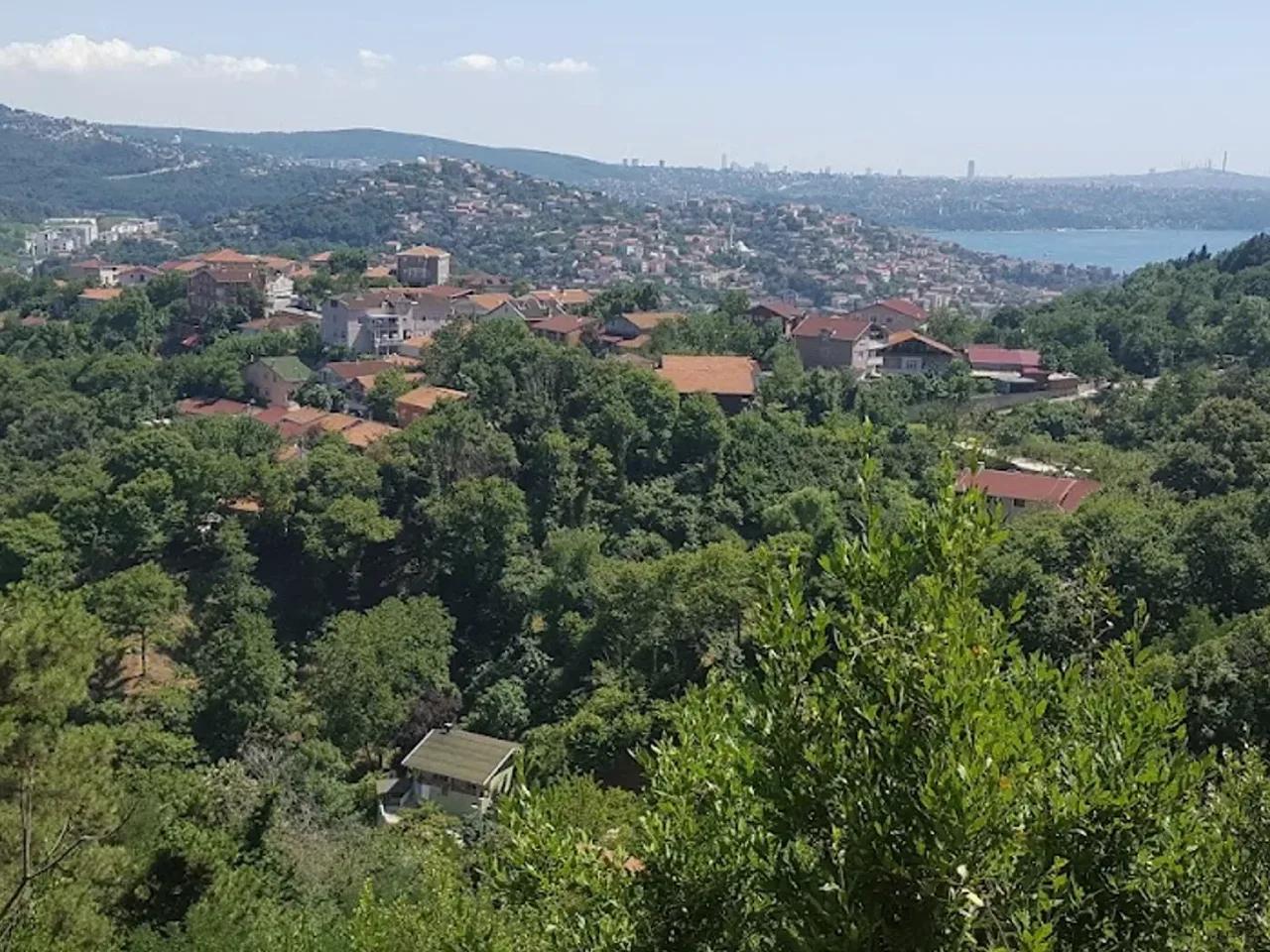 Beykoz Göknarlık Tabiatı Koruma Alanı (Ziyarete Kapalı) - 2