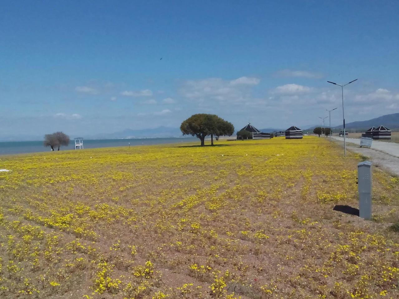 Beyşehir Gölü Karaburun - 4