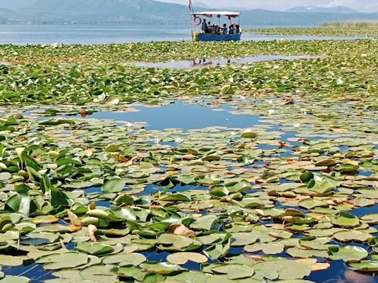 Beyşehir Gölü Milli Parkı - 2