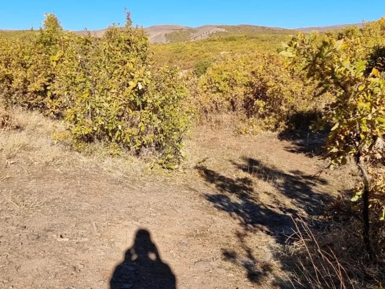 Bingöl, - 3