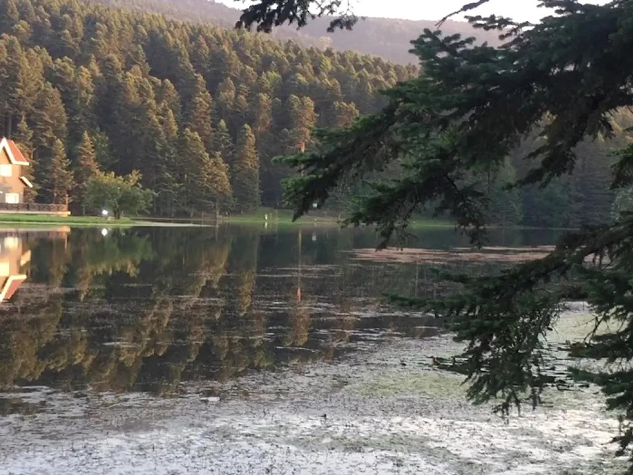 Bolu Gölcük Tabiat Parkı - 3