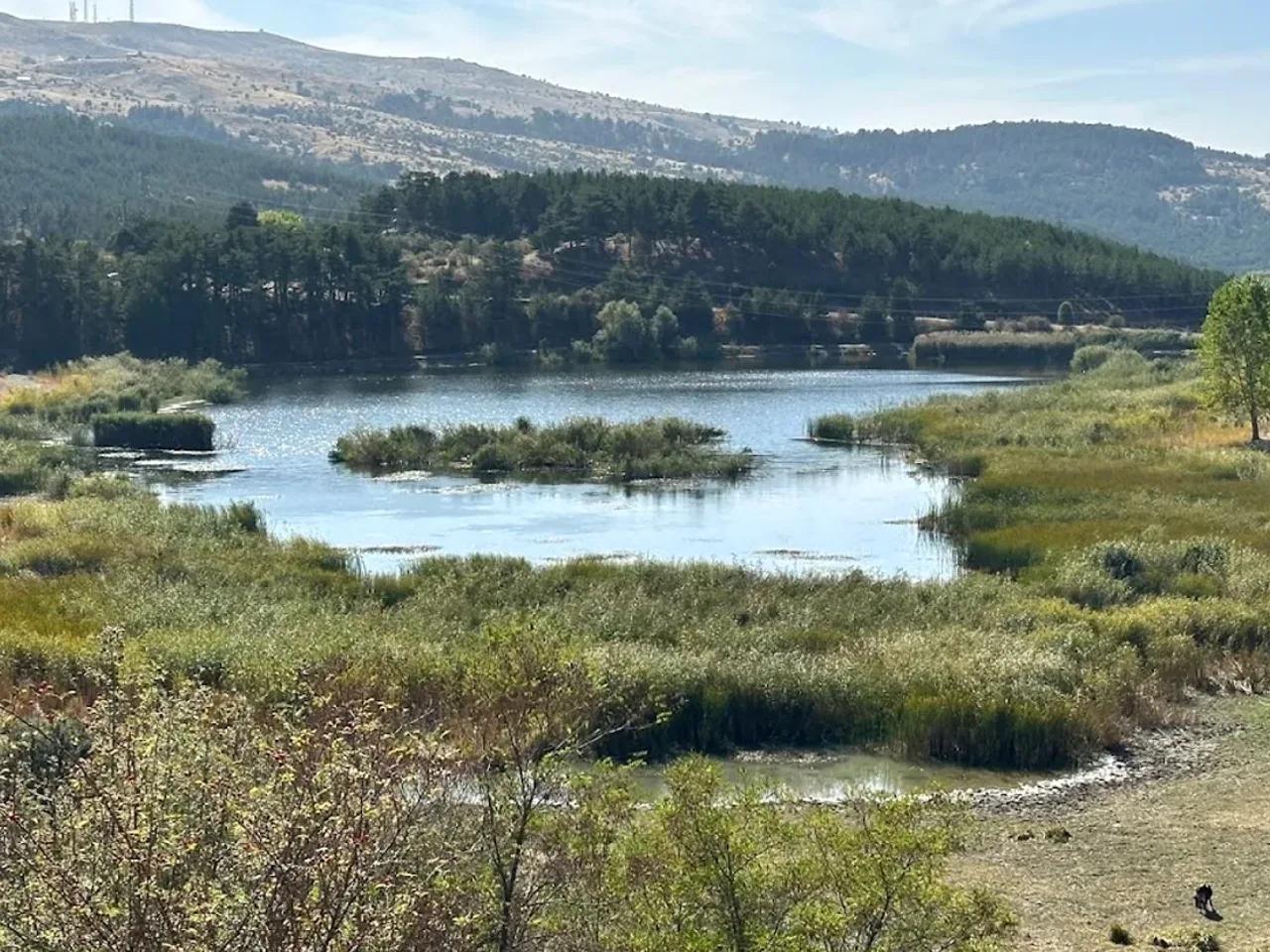 Bolu Karagöl Tabiat Parkı
