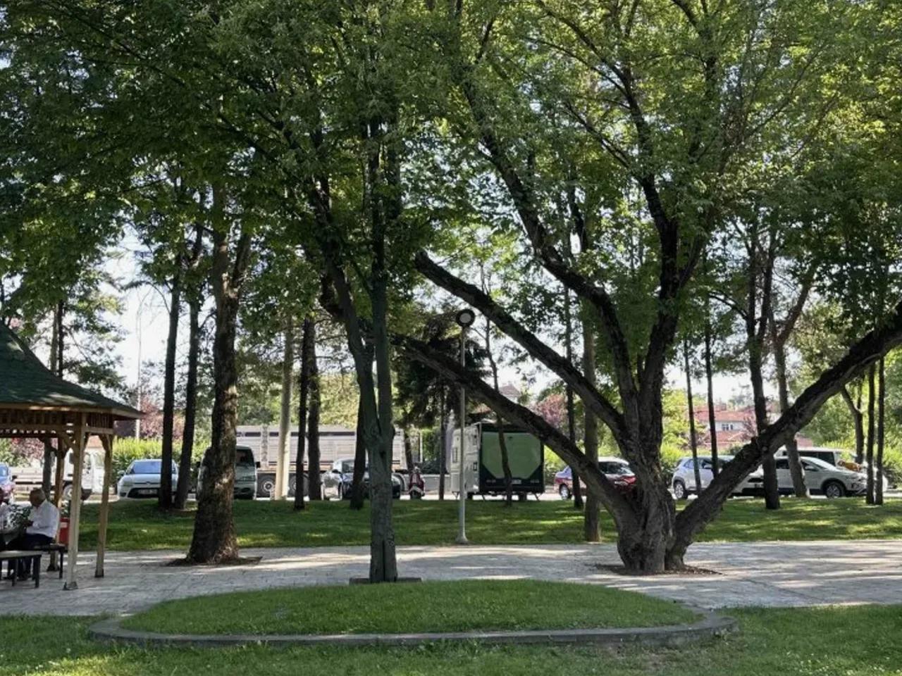 Bolu Merkez,9 Çayırpınarı Sokak - 1