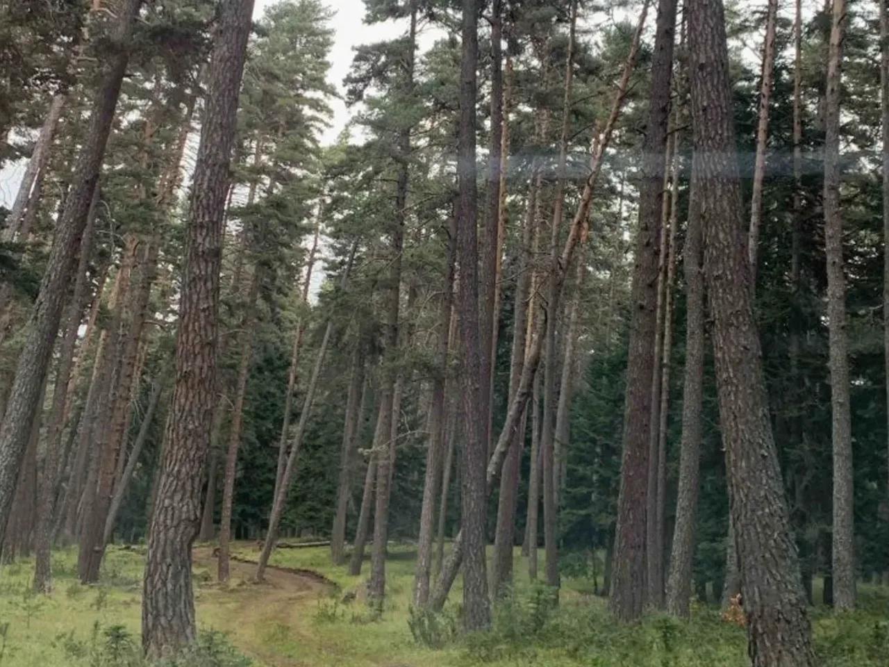 Bolu, Mountrain Outdoor Club - 2