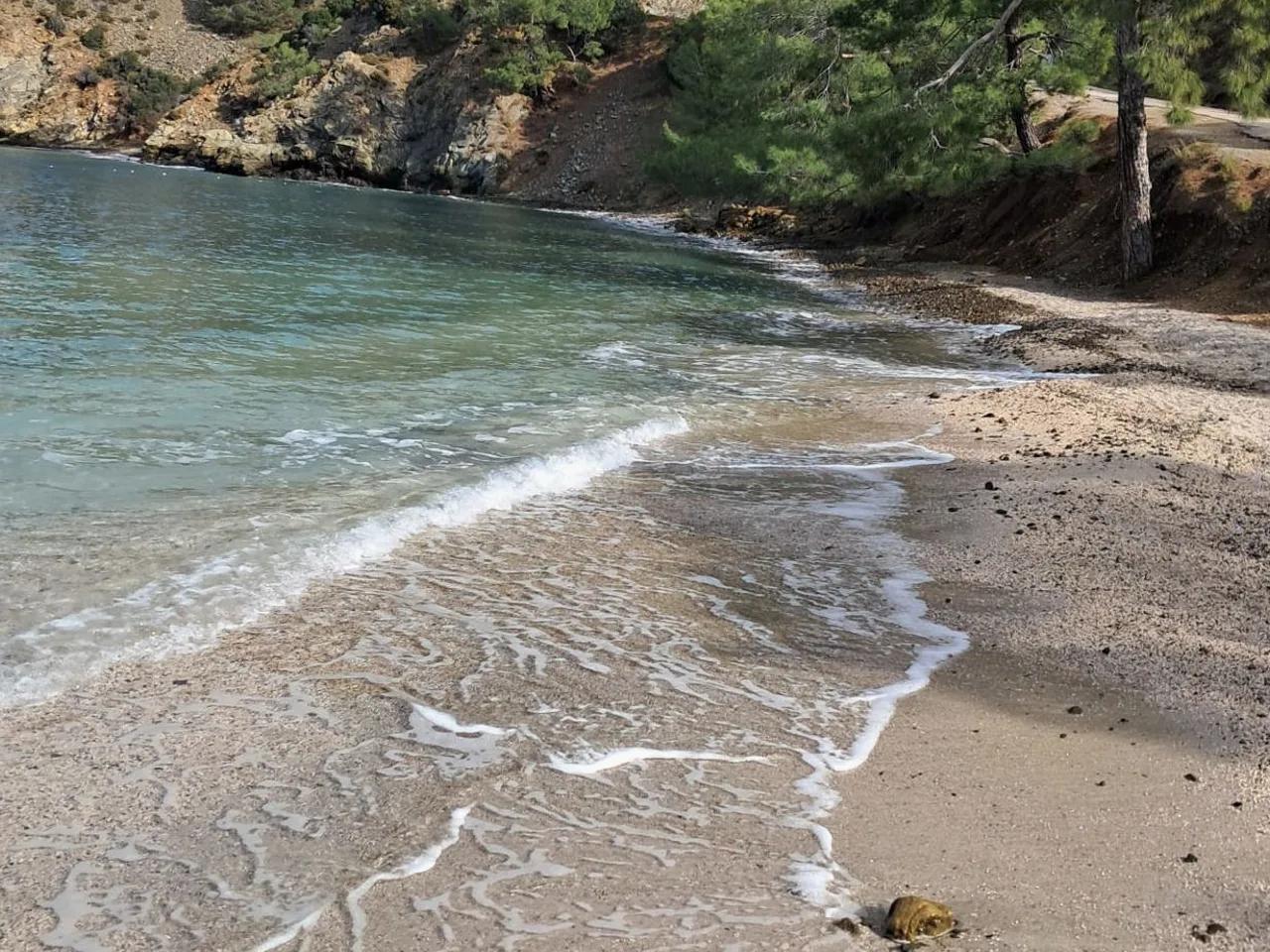 Boncuklu 2 Koyu Plajı - 4