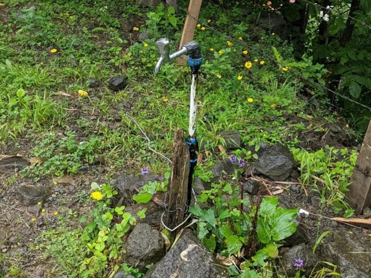 Borçka,Borçka Camili Yolu - 1