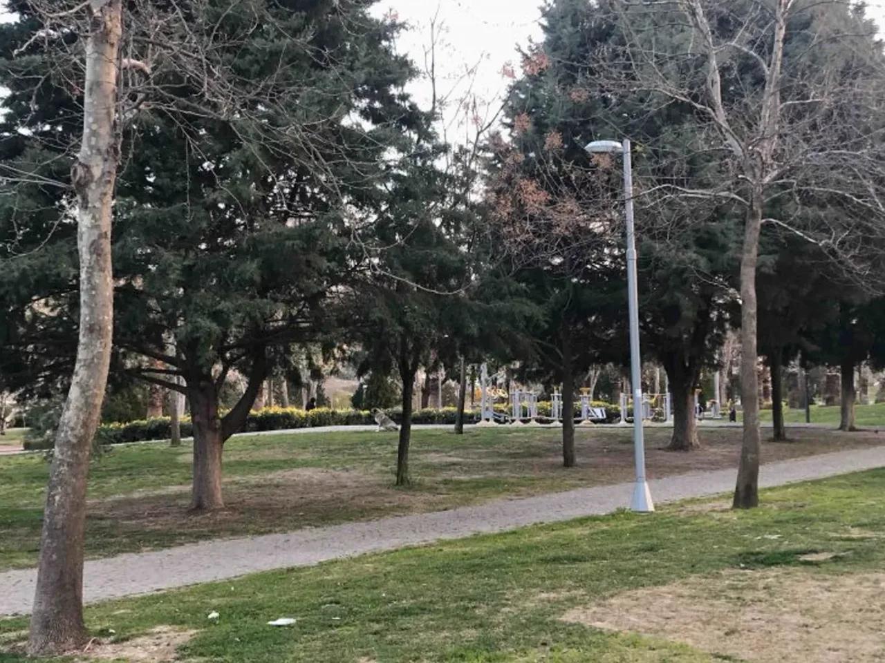 Bornova/İzmir, - 2