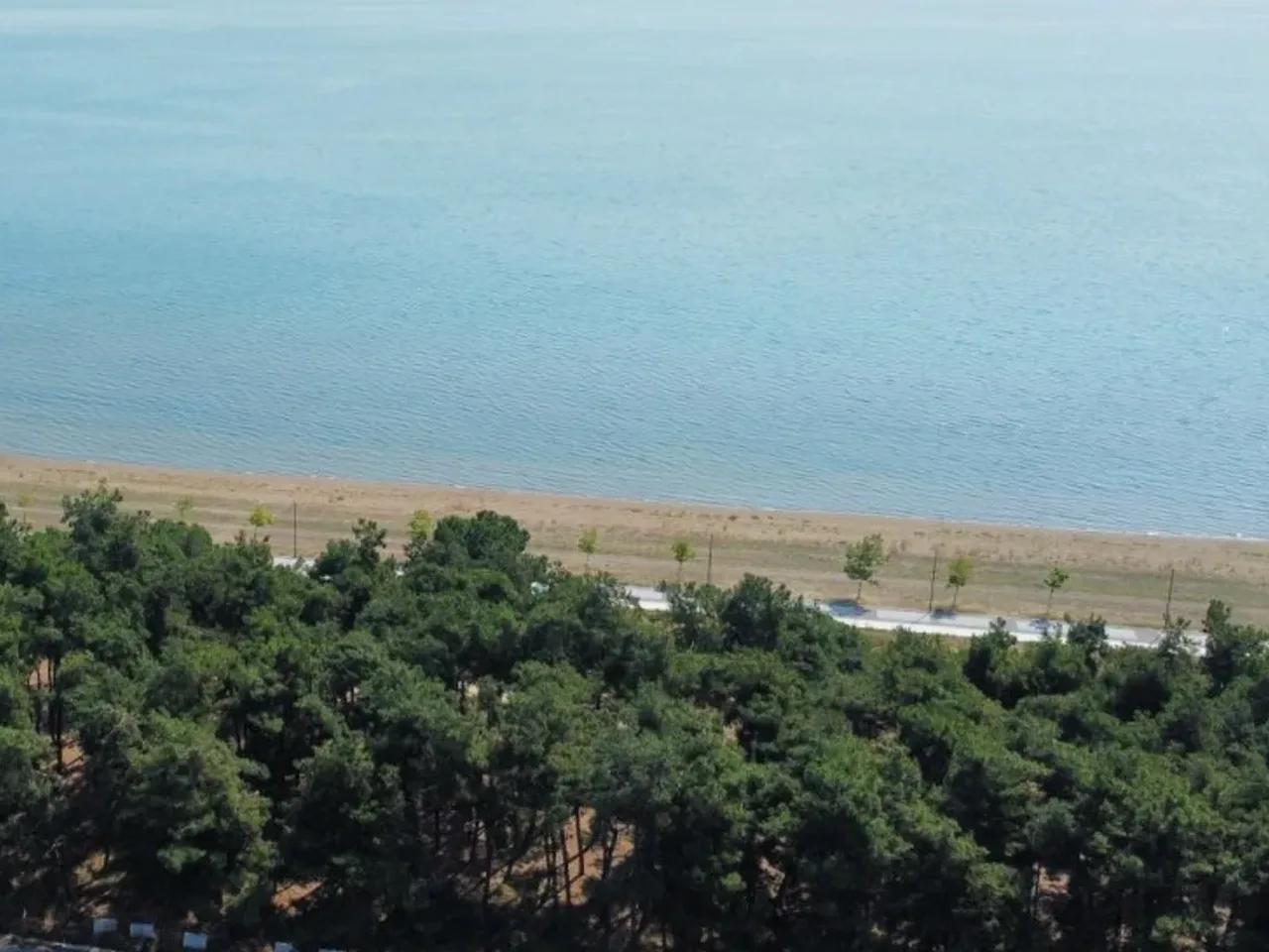Bursa, - 1