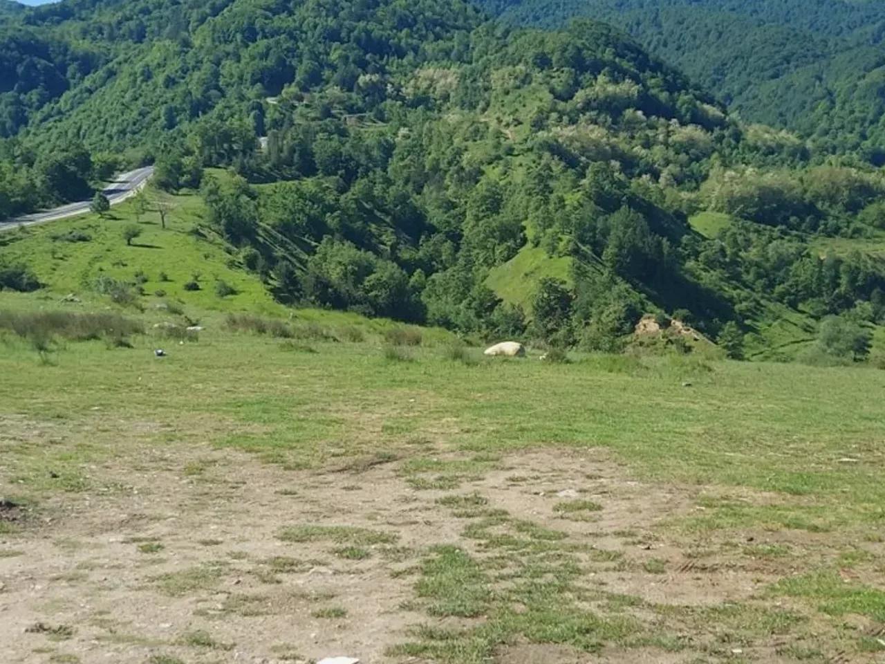Bursa, - 3