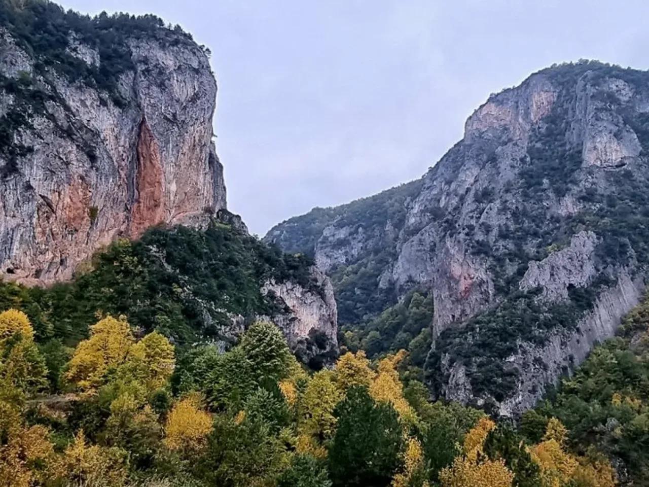 Bursa, - 1