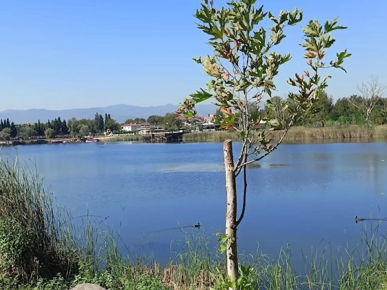 Büyük Akgöl Sulak Alanı - 4