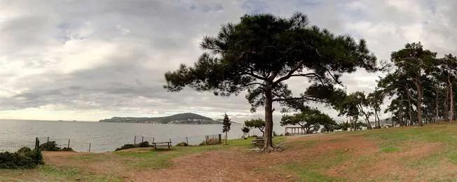 Büyükada Tabiat Parkı - İstanbul tabiat parkı fotoğrafı