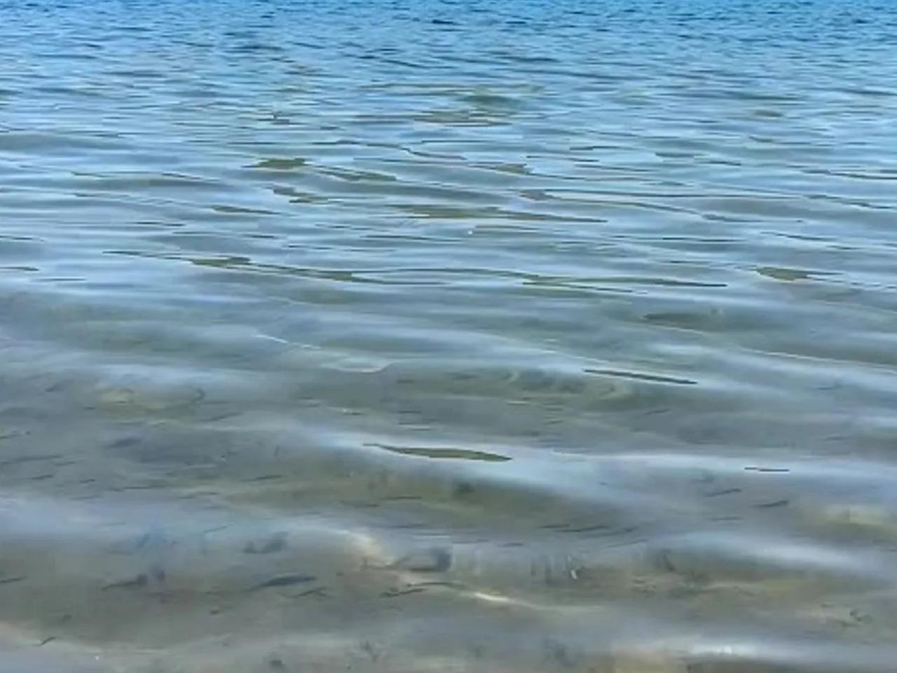 Büyükkaraağaç Plajı - 2
