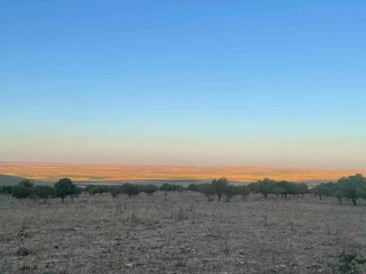 Büyükoba, - 1