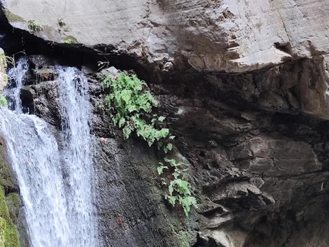 Çağlayan Tabiat Parkı