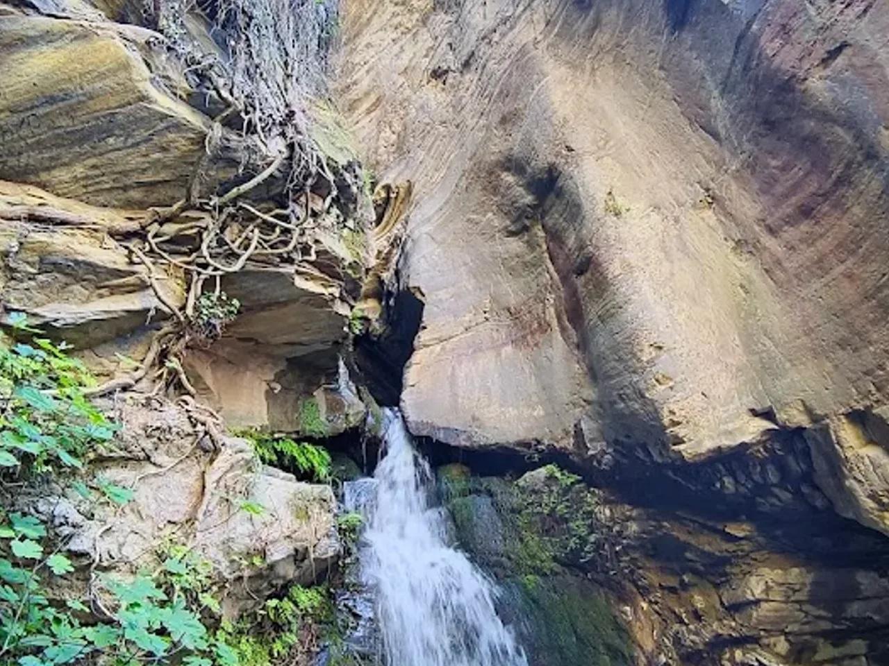 Çağlayan Tabiat Parkı - 2