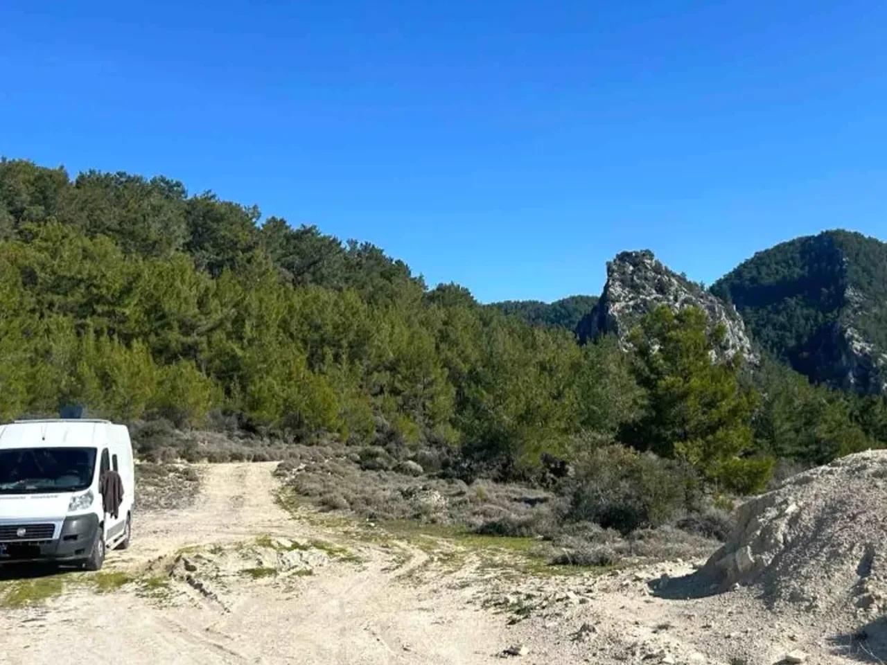 Çakallar, - 1