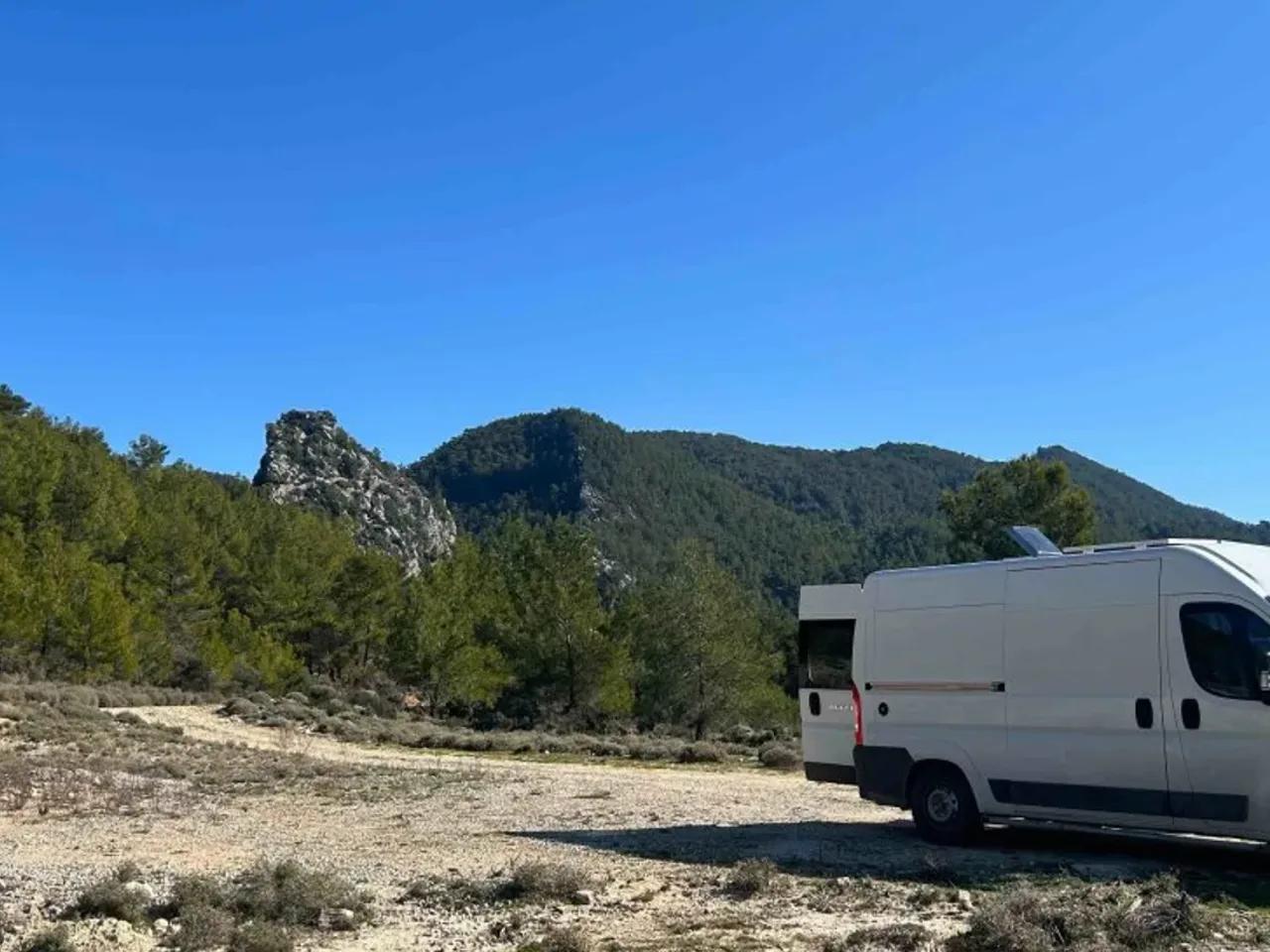 Çakallar, - 2