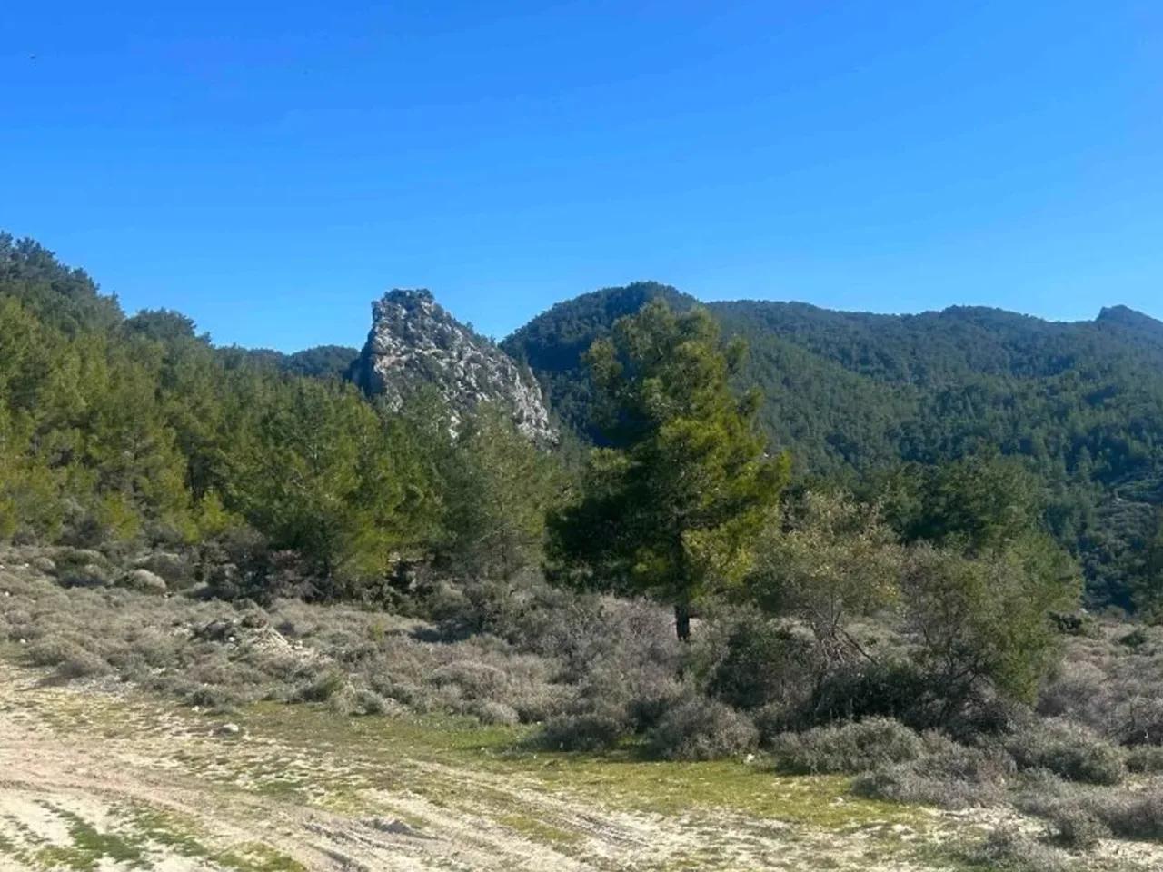 Çakallar, - 3