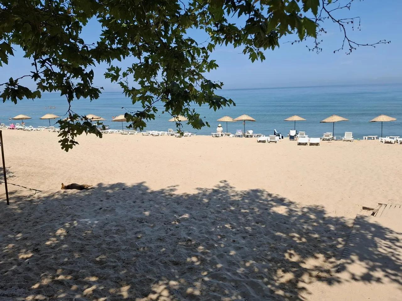 Çakraz Plajı - 4