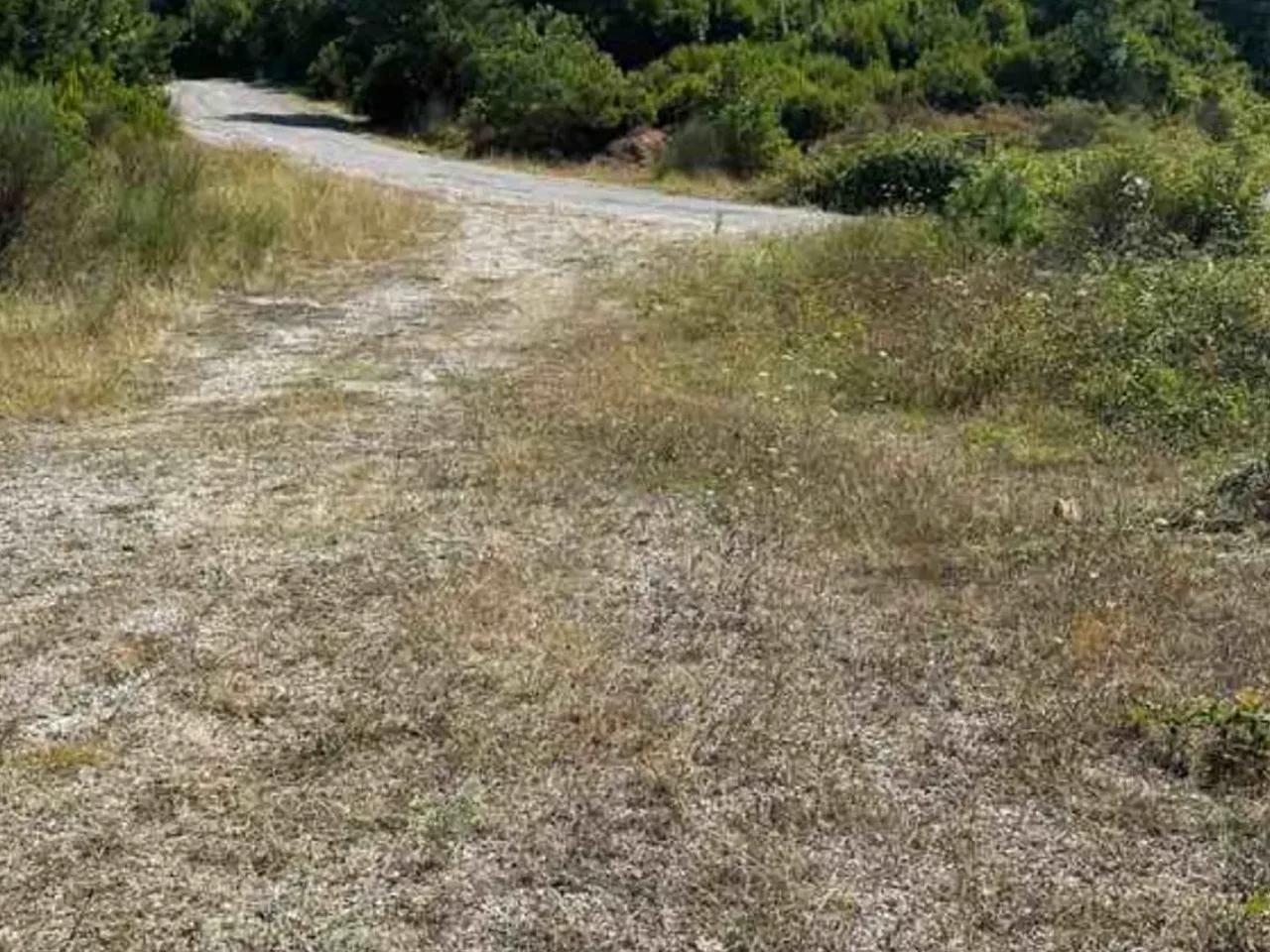 Çakrazşeyhler, - 1