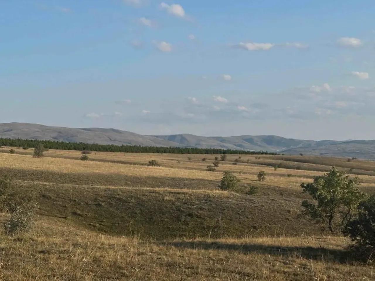 Çalcıören, - 1