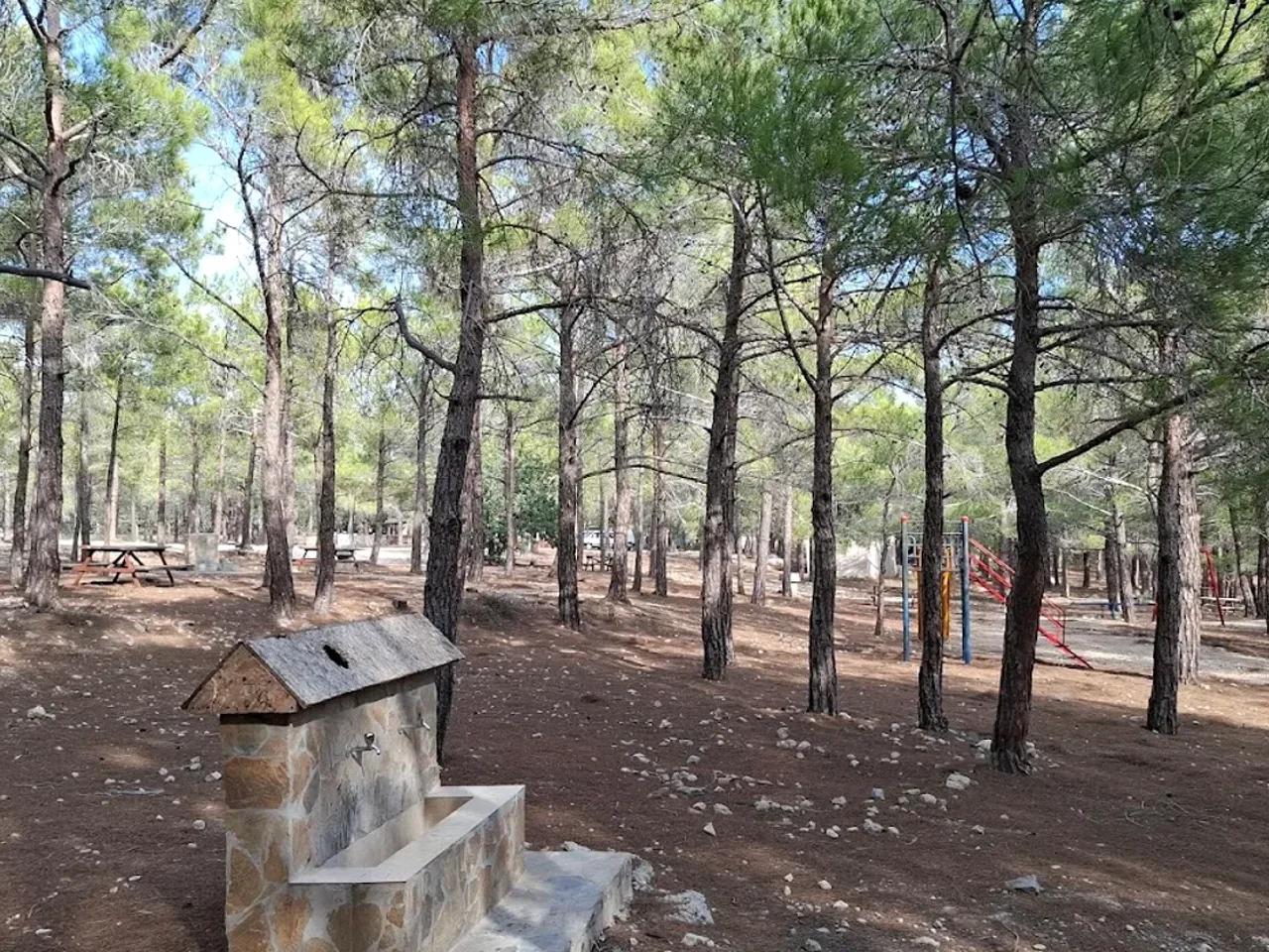 Çamdüzü (Şehitlik) Tabiat Parkı