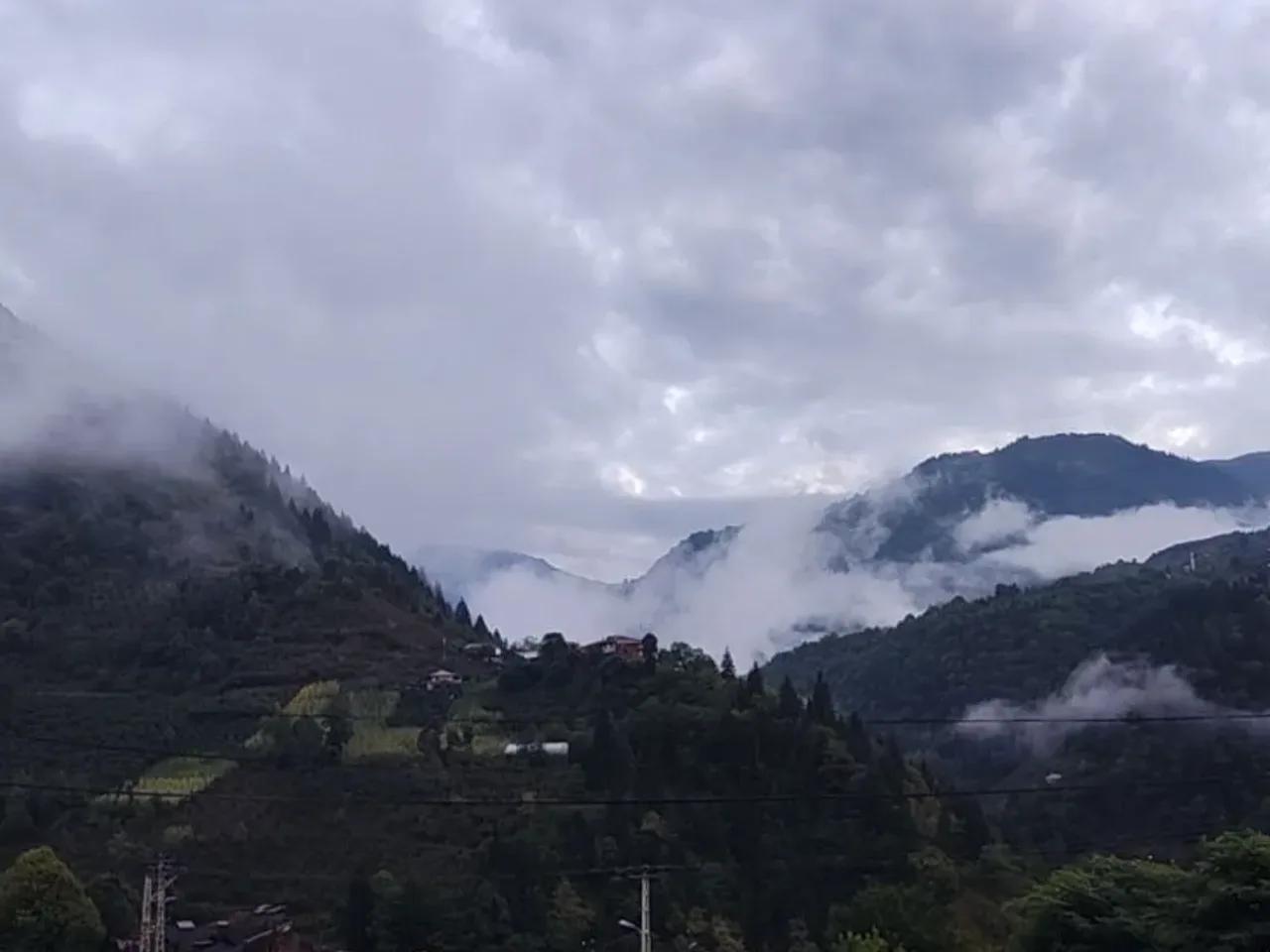 Camili - 2