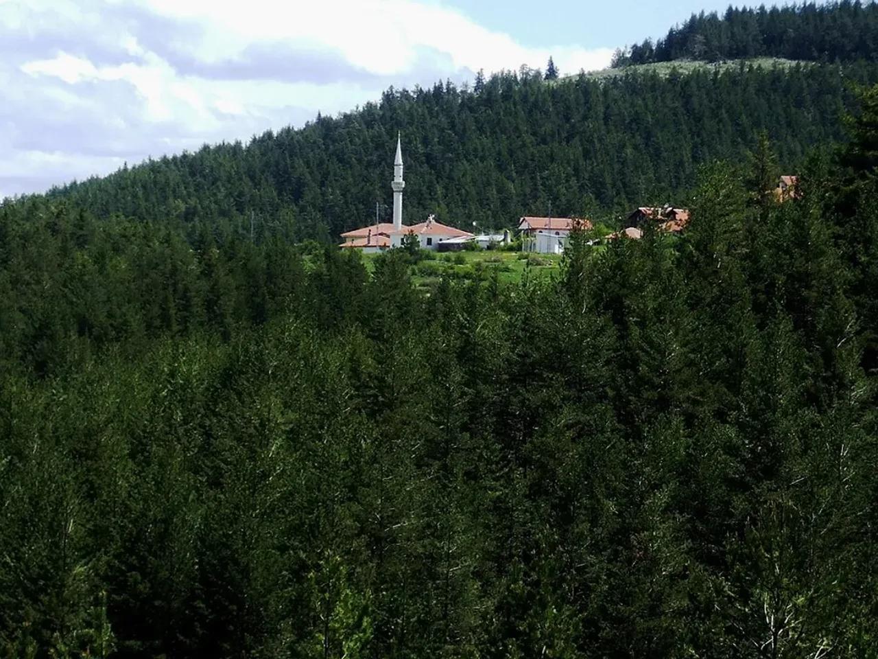 Çamkoru Tabiat Parkı