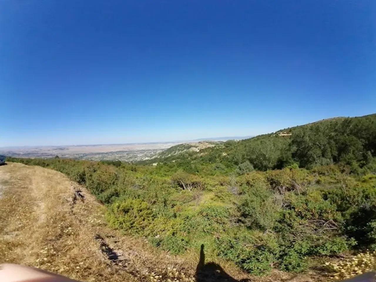 Çamlıca Tabiat Parkı (Kütahya) - 5