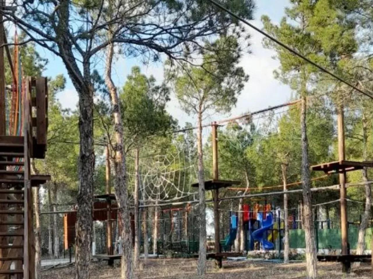 Çamlık Mesire Alanı - 1