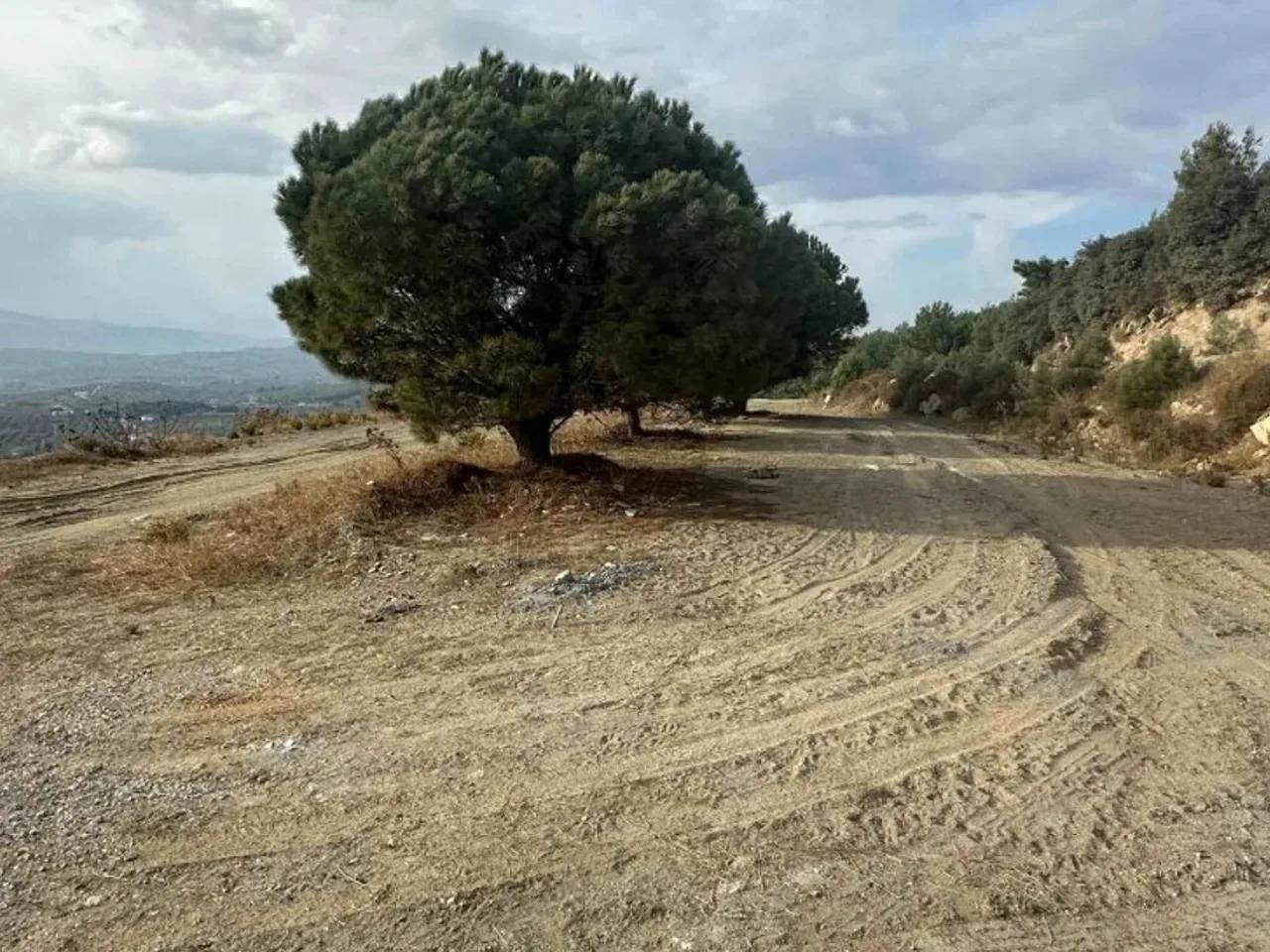 Çamlık, - 1