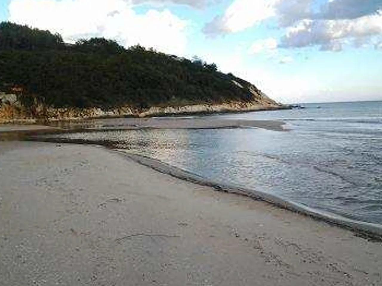 Çamlıköy Tabiat Parkı Özel Plaj - 2