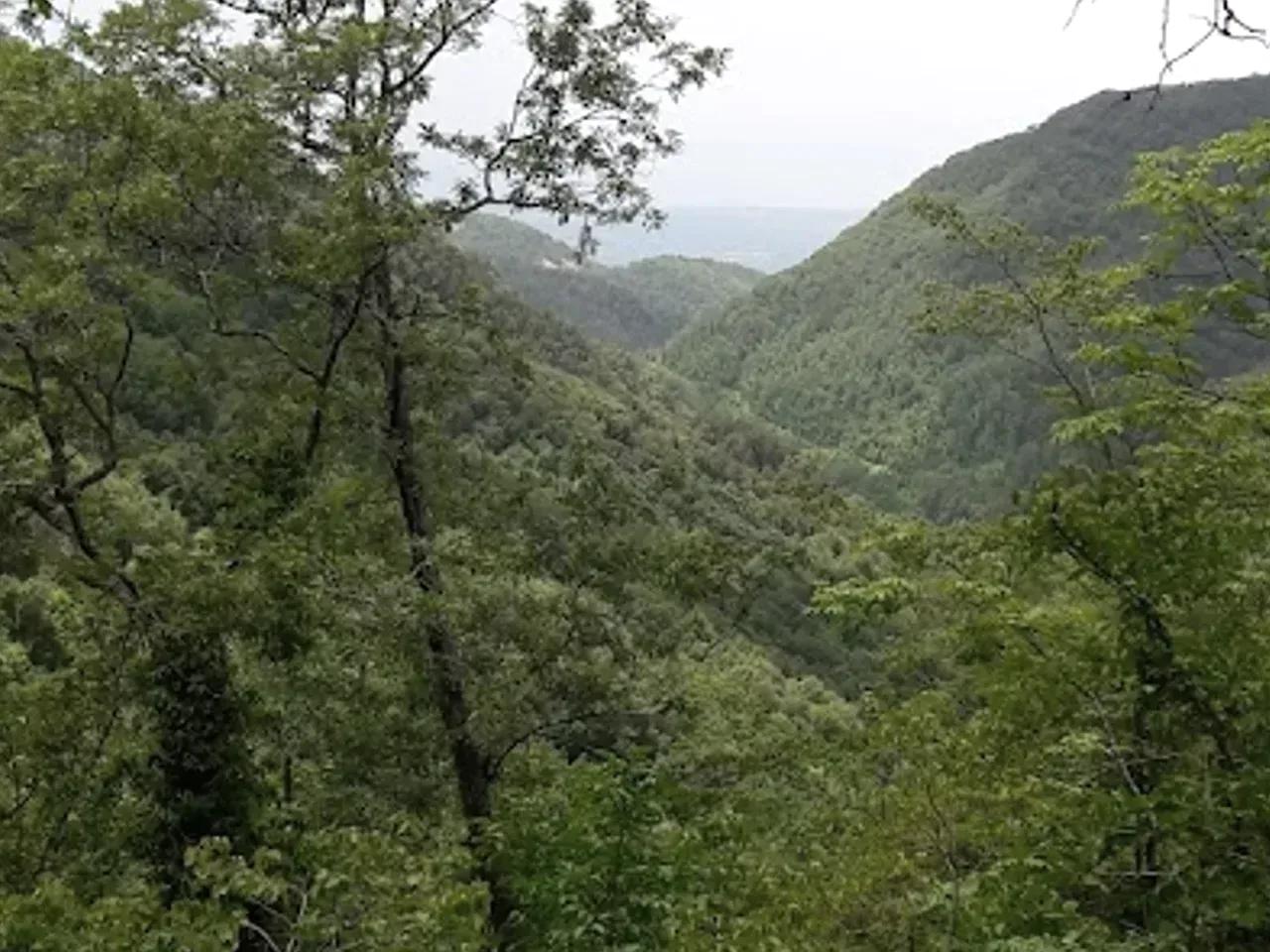 Çamrak Yaylası - 1